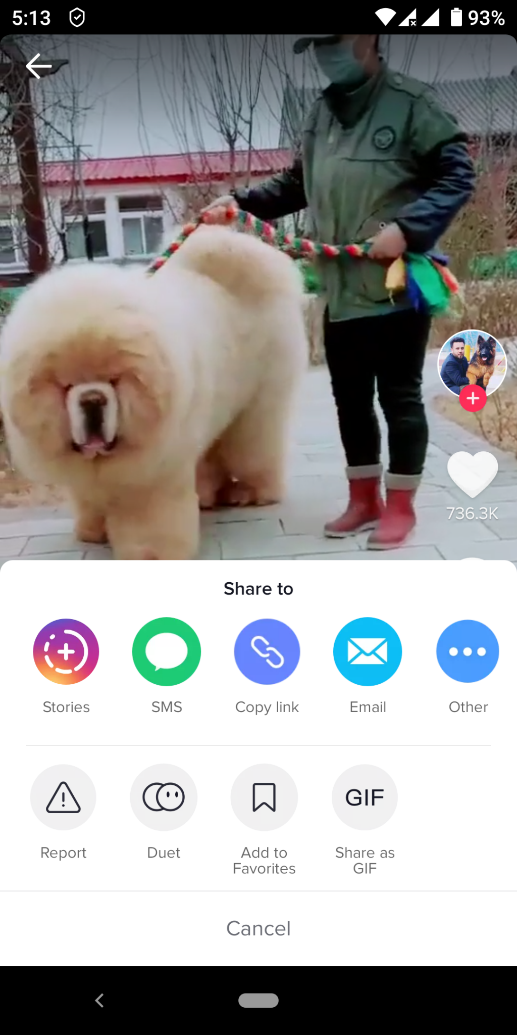 download a tiktok video with link download a tiktok video with link